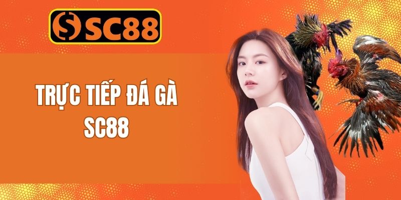 Trực Tiếp Đá Gà SC88